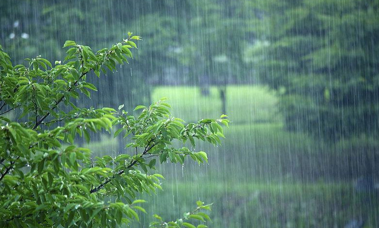 梅雨季的苏州园林别具一格 
