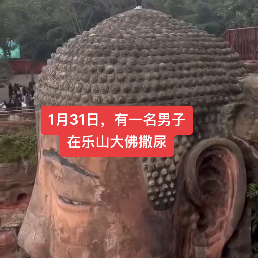 1月31日，有一名男子在乐山大佛撒尿。