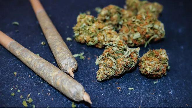 德国大麻合法化了！4月1日，勃兰登堡门前的狂欢派对让人大开眼界。大麻合法化后，1