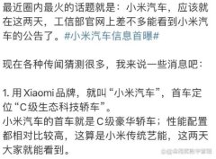 小米汽车的高端定位和高价策略，无疑是对目前新能源汽车市场的一种挑战。小米汽车要想