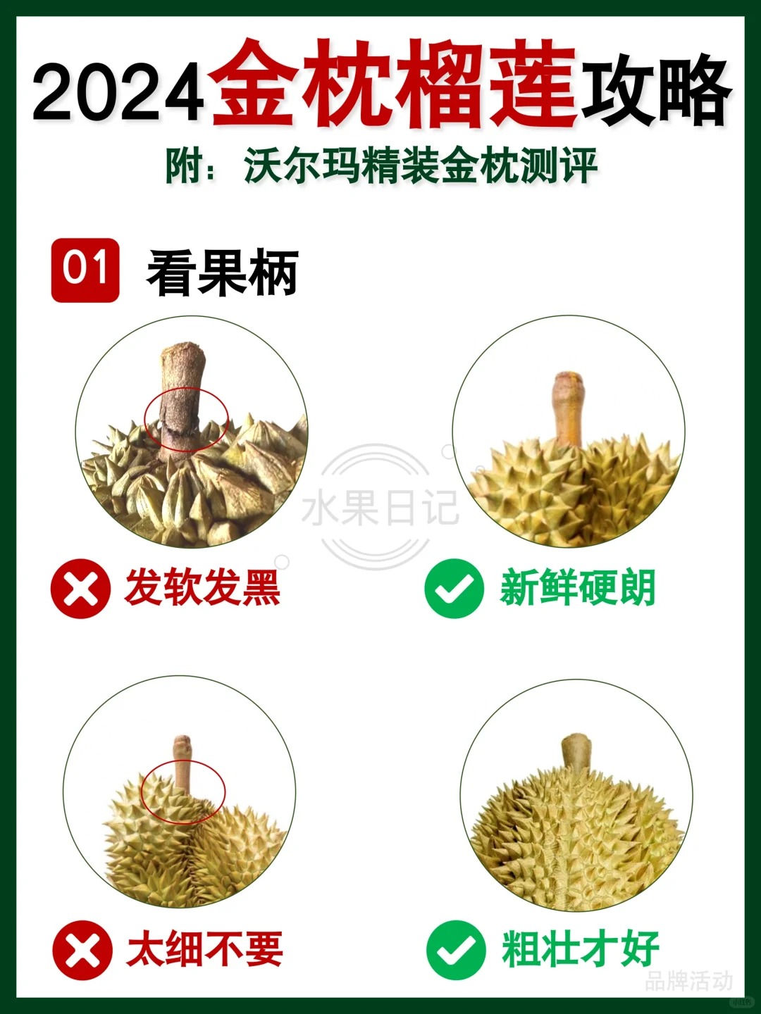 记住这些点，报恩金枕榴莲放心选！ 
 
说到怎么挑选报恩的金枕榴莲，大多数是奔着