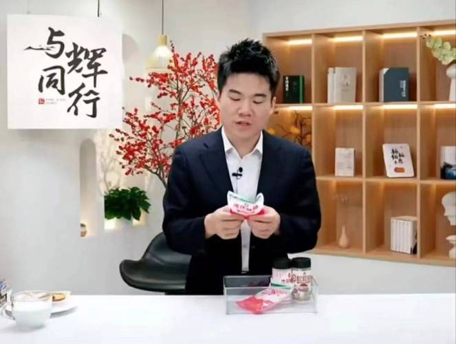 小米模仿董宇辉直播带货，可提升品牌亲和力，但需注意产品定位与直播风格的匹配，避免