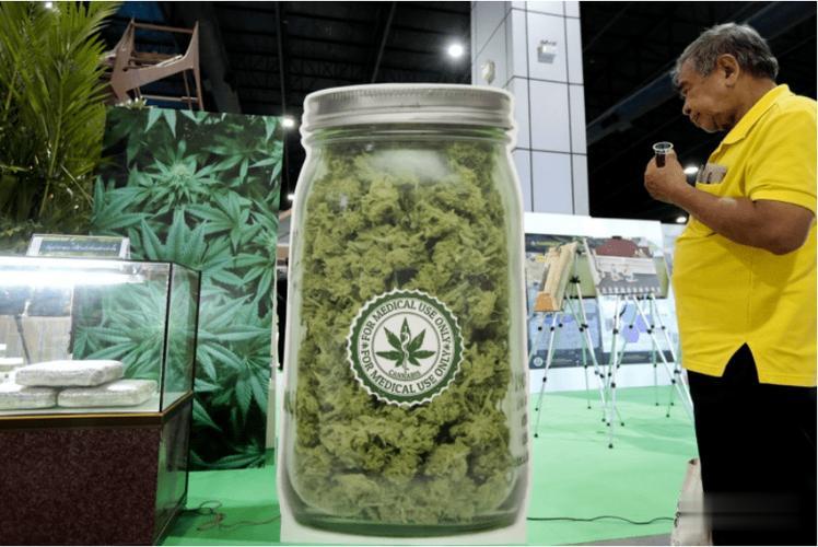 泰国禁大麻，自由与健康的抉择？政府能管控住吗？拭目以待！