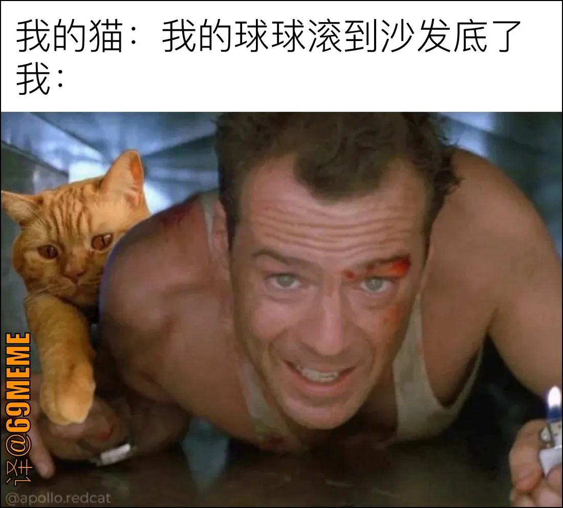 69梗图:我应该一鼓作气完成一些工作#冷笑话##69梗图##meme##分享一张