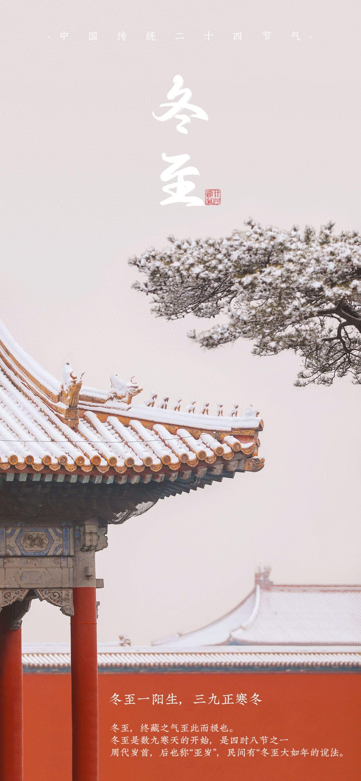 别被“冬在头，冻死老牛”忽悠了！今年气温回暖，冬至不再寒冷，记得吃饺子暖暖身子哦