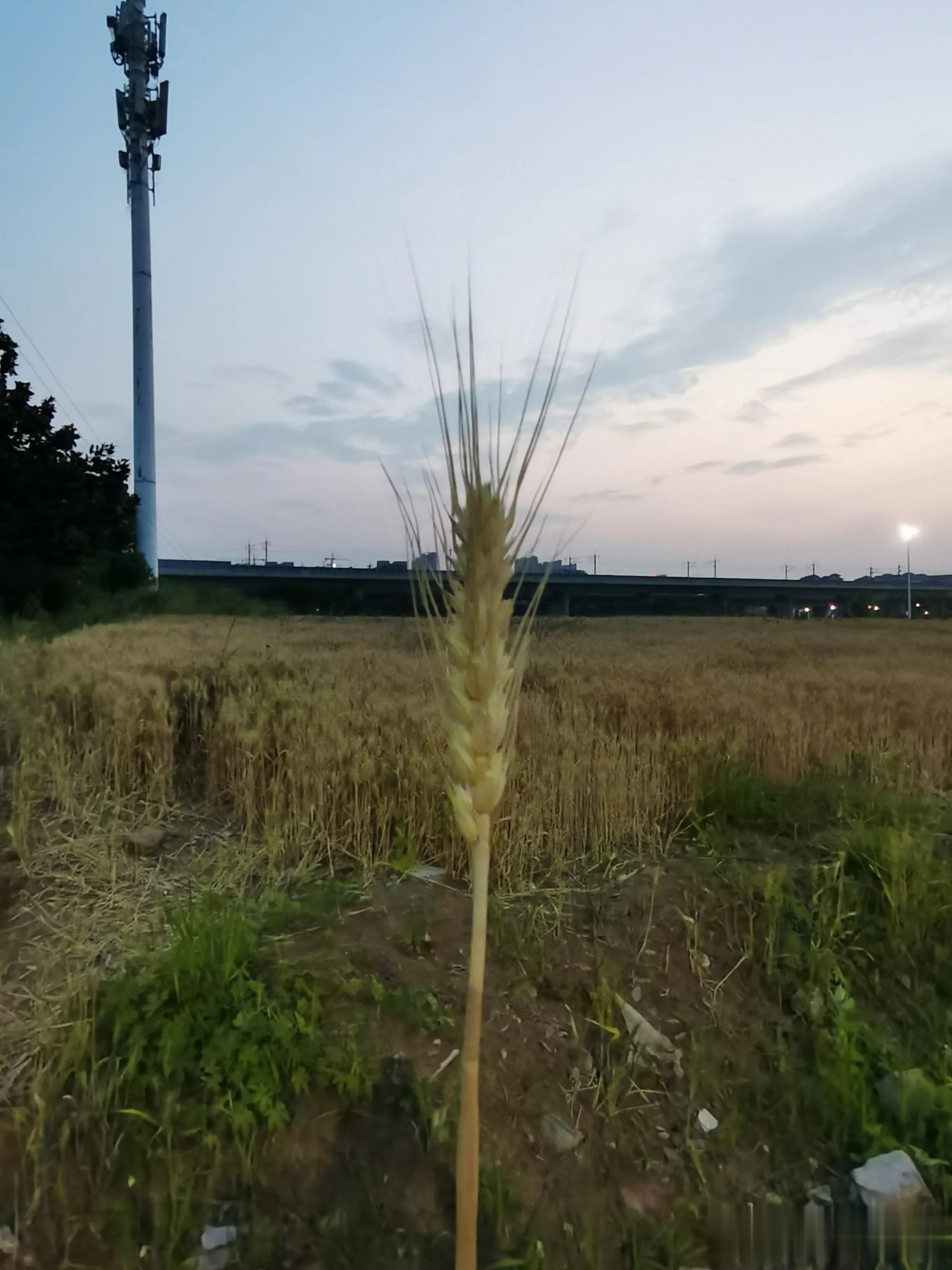 节日购物，理性消费，拒绝盲目跟风购物！ 
