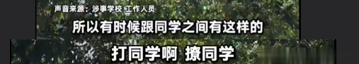 “7岁男孩欺负同学46名家长请愿转学”冲上热搜，学校回应结果7岁男孩转学后欺负同