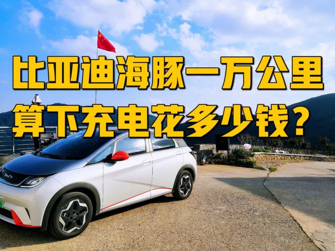我认为这个观点是有一定道理的。确实，在电动汽车市场上，比亚迪和理想汽车的表现非常