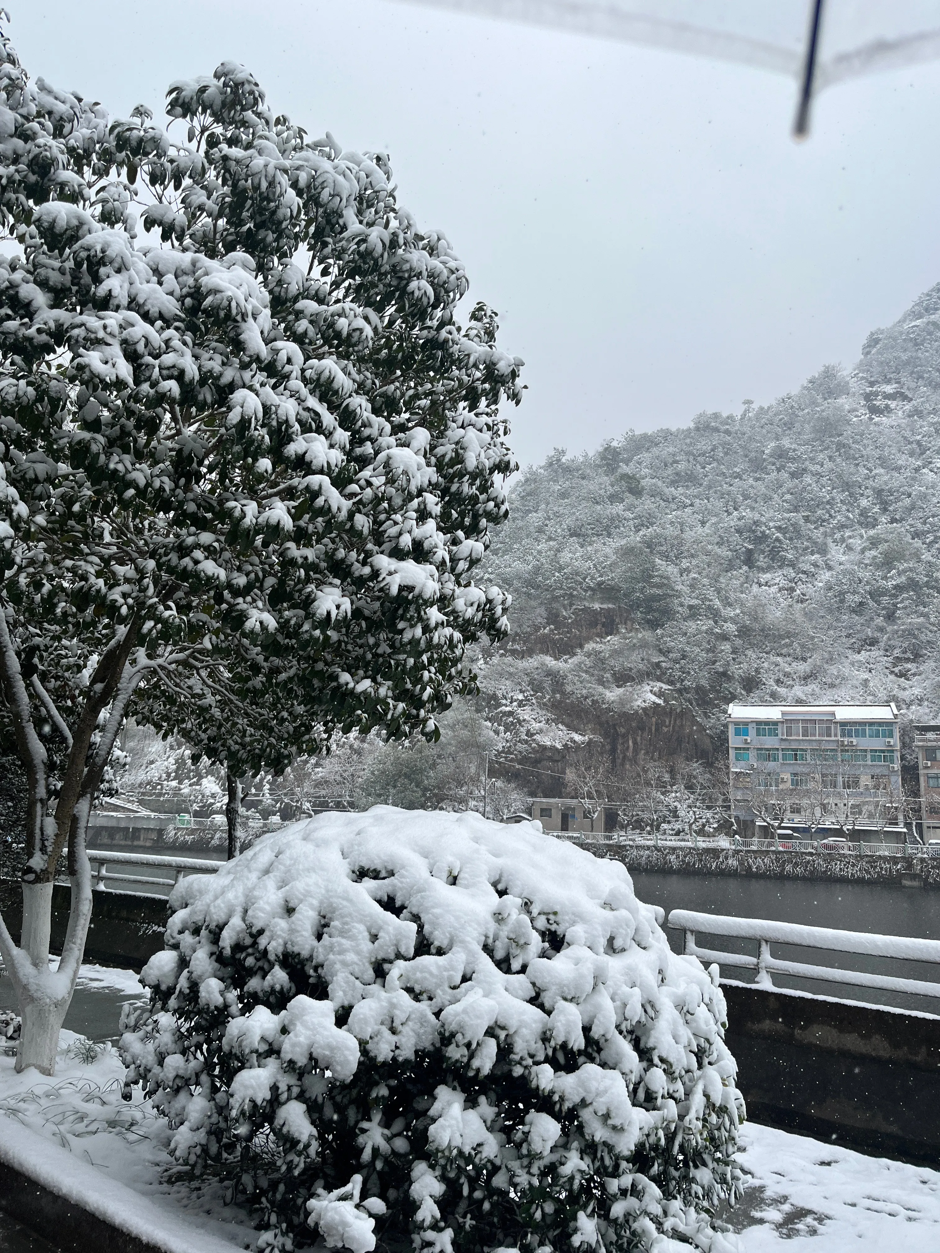 下雪了！好美啊！ 
