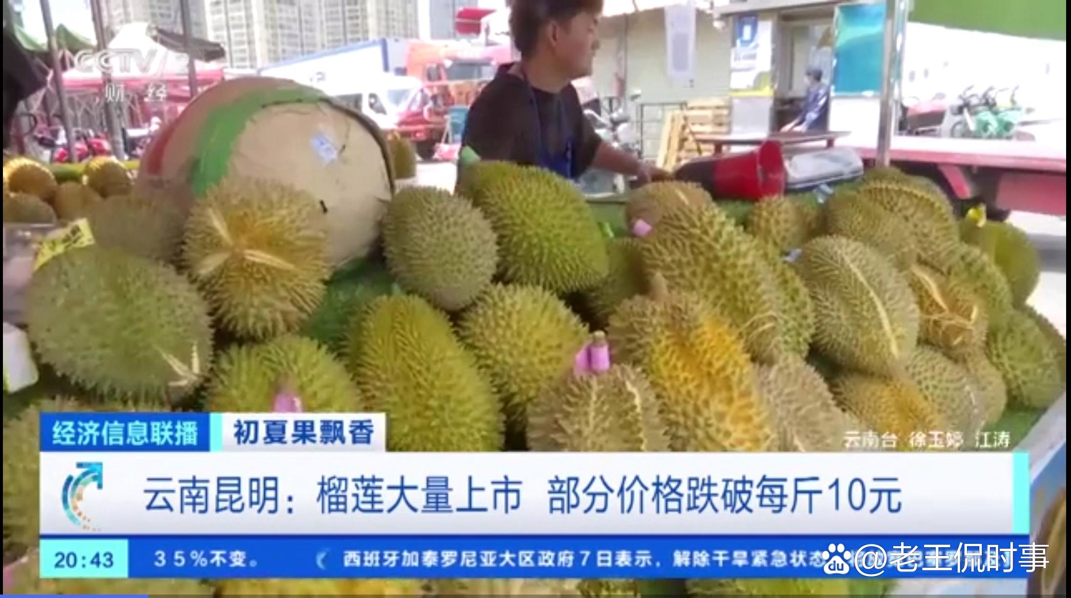 昆明榴莲一斤跌破10元，如果真的是这样榴莲自由不用去泰国了，在昆明就可以实现啦。