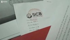 越南女首富、房地产商万盛发集团创始人张美兰及85名被告被控参与侵吞120亿美元（