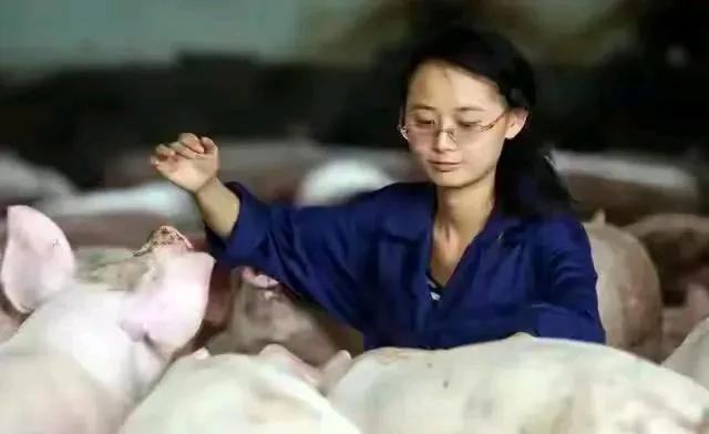 高颜值95后猪保姆走红，是因为她吸引了人们对美女与猪这一悬殊反差的关注，这背后可