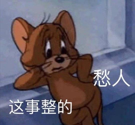 皖北小县城，做点小生意。去年总收入二十八万，除去硬性成本四万，算了算去年也就存了