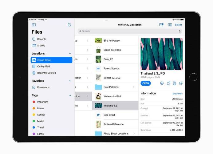 苹果从ipadpro开始，逐步在所有ipad系列中取消了实体home键，以推广f