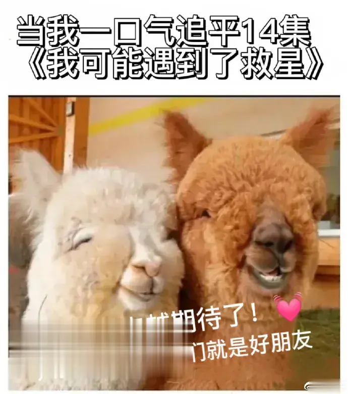 曾遇打假人围攻超市，东方甄选却成了他们的救星，这真是草泥马上的萝卜呀！