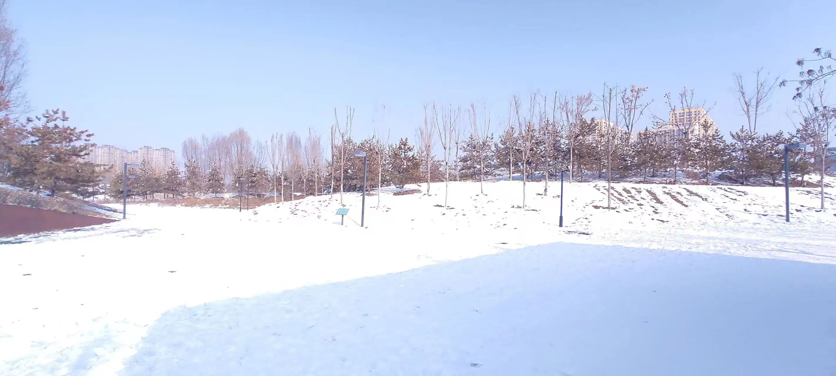 在北方，如果冬天里没有雪🌨️，那这个冬季是不完美的，就像一个人的一生缺少了一次