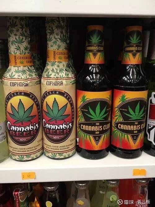 泰国禁大麻，私人消费不合法啦！关注后续影响！