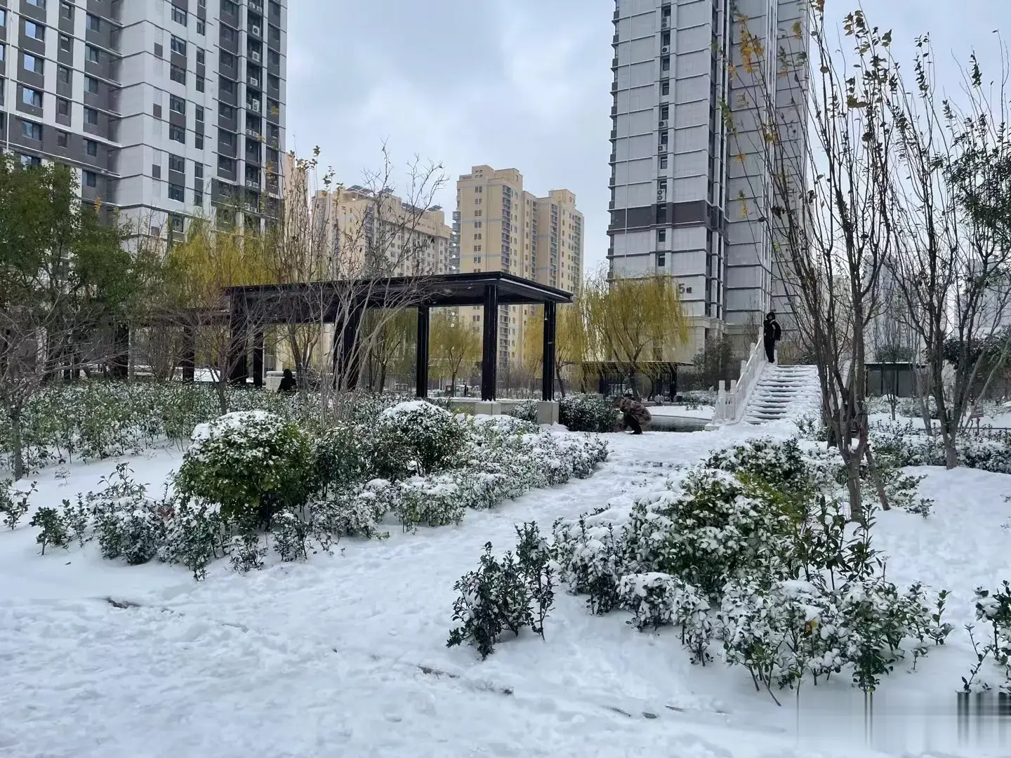现在的娃真是有些娇贵啊，下点雪就停课了。不上学呆在家会翻天的知道不？
