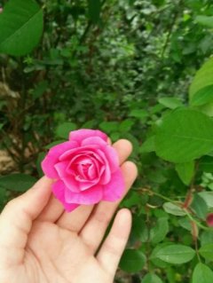 你们最想去哪座城市生.我从很小到杭州，在杭州呆了20多年，有点呆腻了。现在有点想