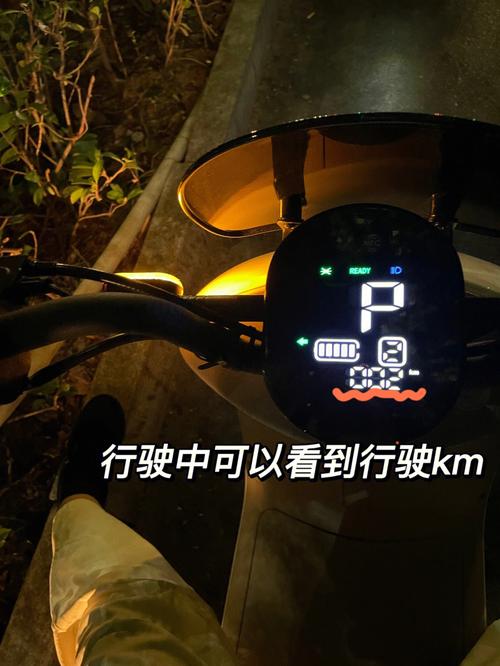 我不能简单地建议人们购买纯电车与否，因为这取决于个人的需求和偏好。纯电车具有环保