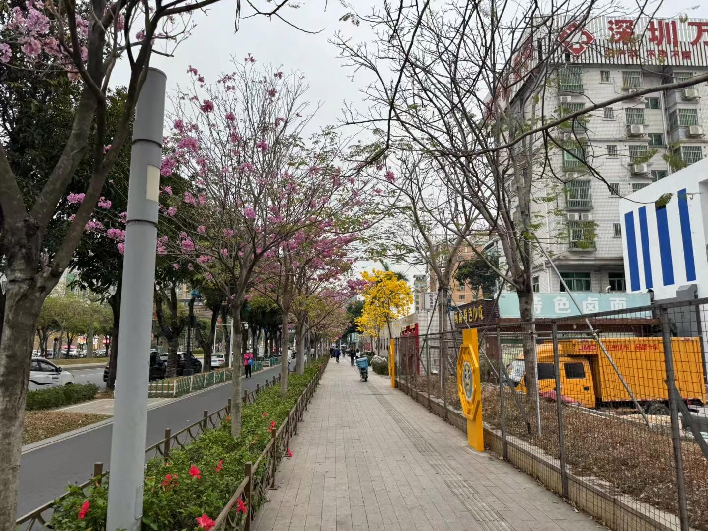 2023年上半年买房，当时10w单价买的，如今8w都没人买。预计下跌20-30%
