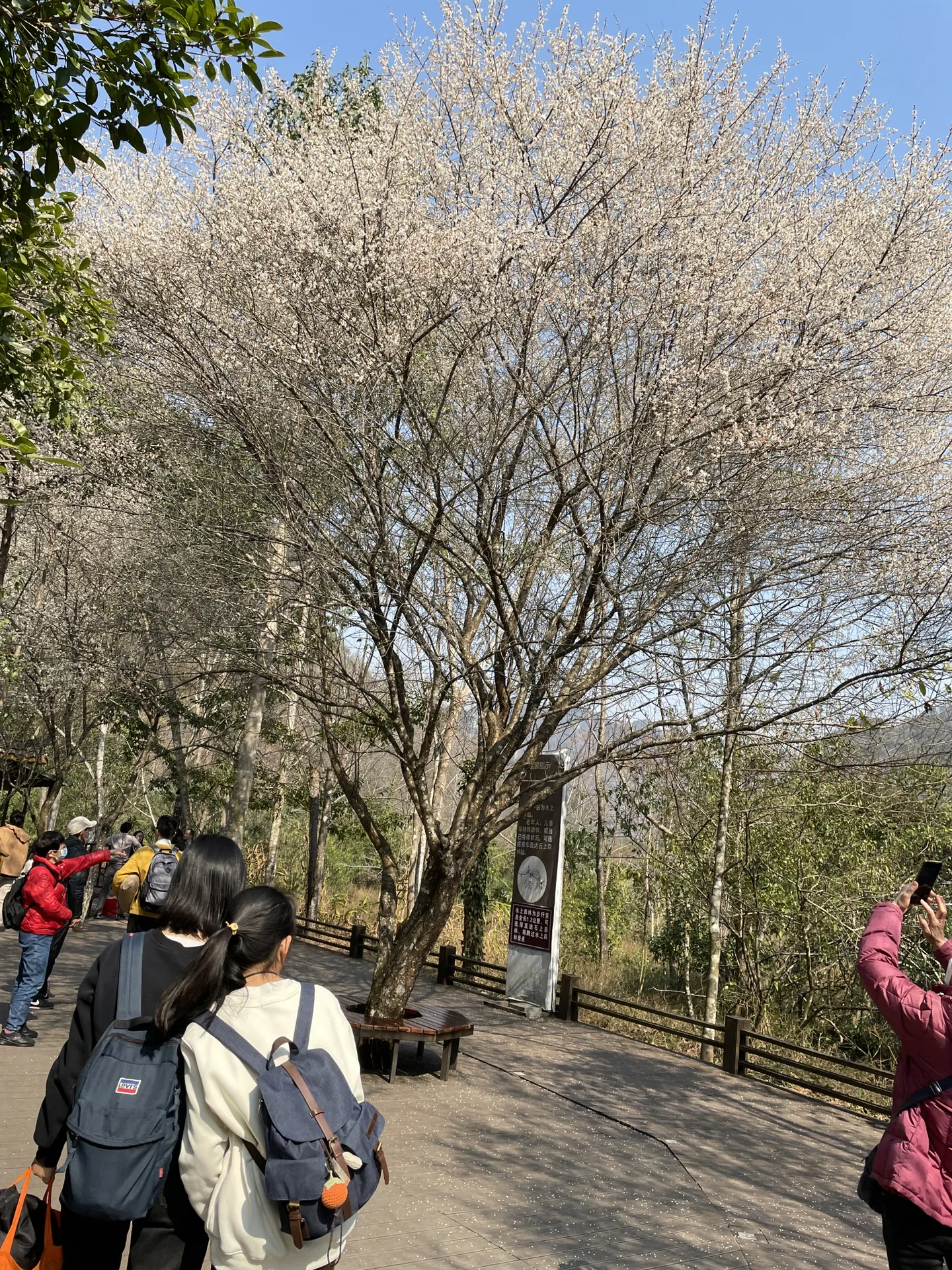 今天热得开电风扇，坐标温州 
