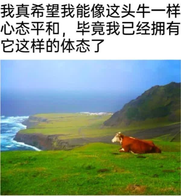 来一波梗图