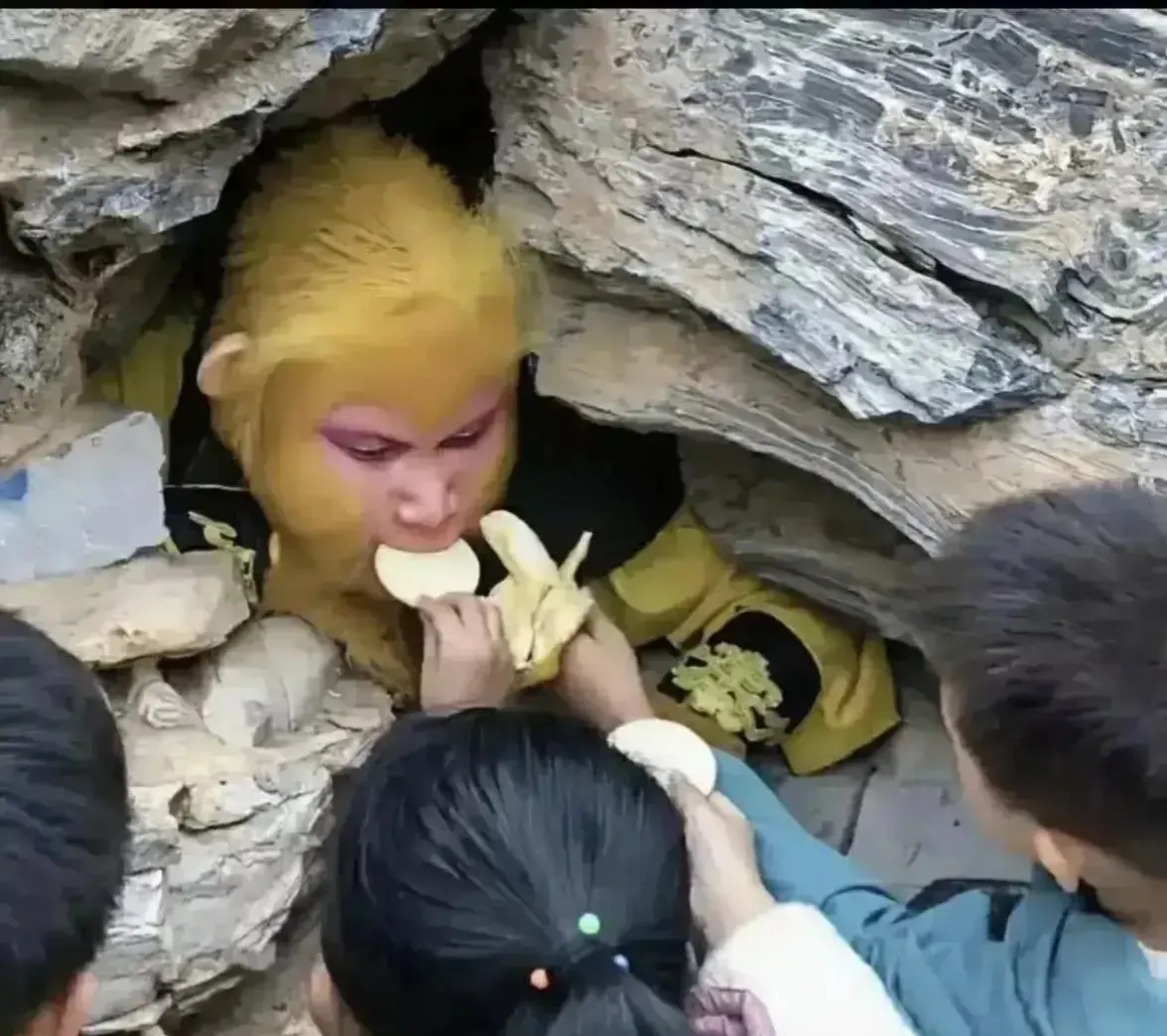 每天就趴那几小时，一个月6000块钱，包吃包住，还有人给你投喂东西，你愿意吗？一