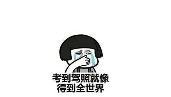 对于多地春晚彩排出现科目三的热议，我感到有些哭笑不得，但更多的是对传统与现代融合