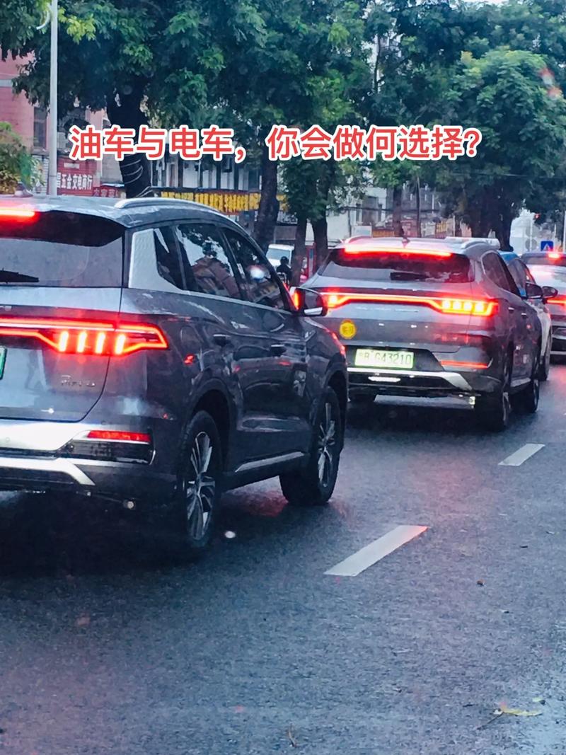 只要市场还有油车，我就不会选择电动车！