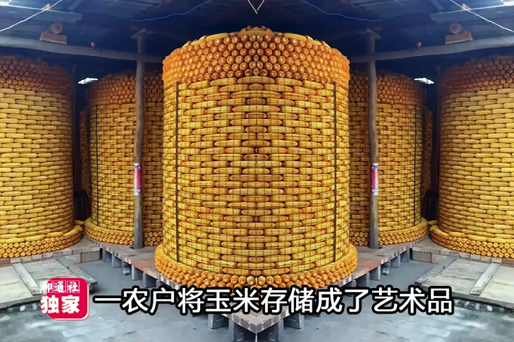 总之，还是玉米总量不够！每年进口累计的好几亿吨了，国内也没有存储那么多。