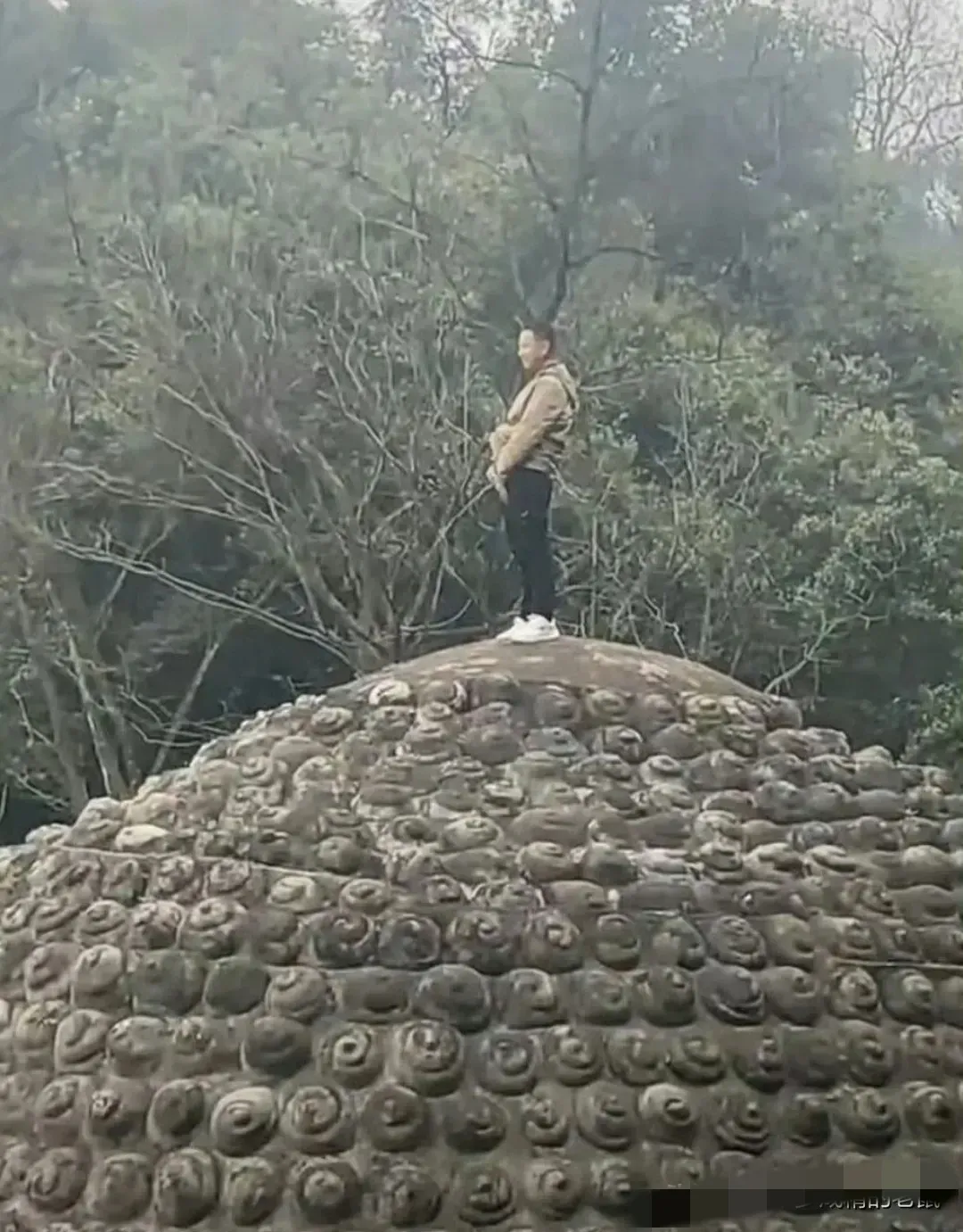 昨天，一游客爬上乐山大佛头顶撒尿，目前被警方拘留。想当年孙猴子也就是在佛祖的手指