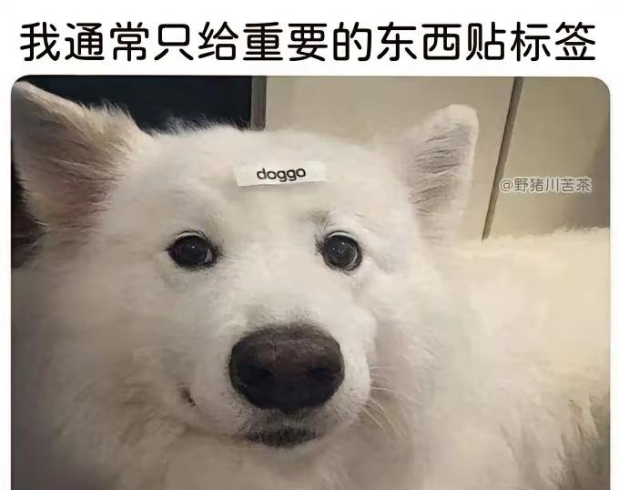 #memes#meme#梗图#梗文梗图#每日一笑