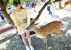 其实在古代鹿肉是古代人的主要肉食来源之一，我们常常会在文言文或者是一些古籍中看到