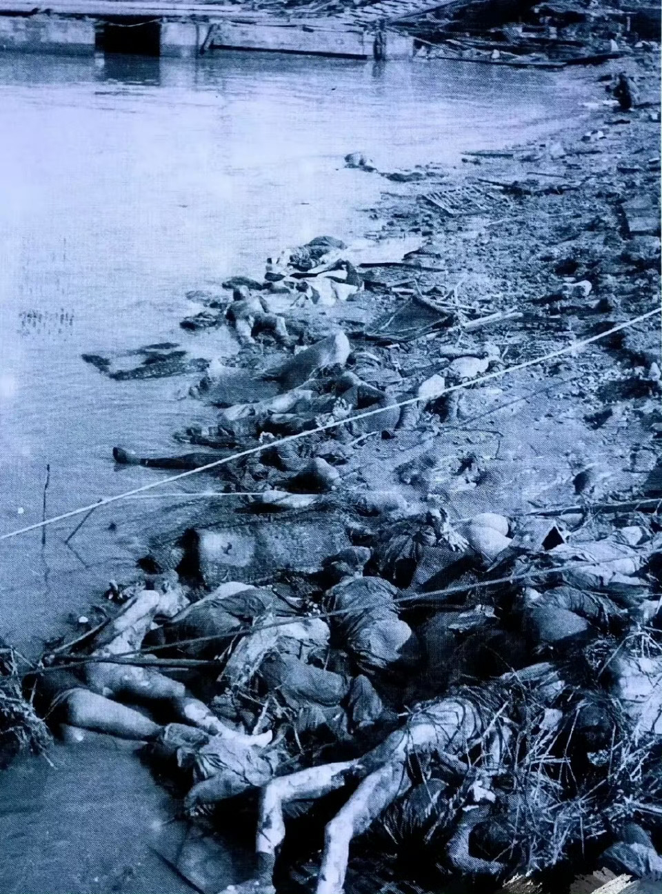 惨不忍睹，人间地狱！
1937年，南京。破城后，日本鬼子展开疯狂的大屠杀。一周后，长江里中国人的尸体，多到甚至堵塞了航道。 ​​​