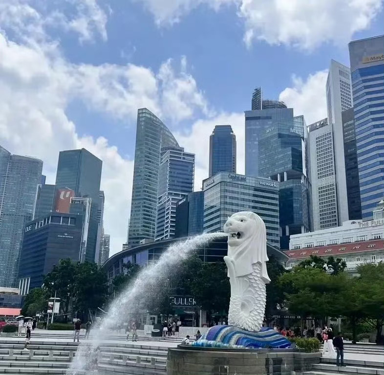 新加坡的经济发展能达到如此高度，一个原因是新加坡地理位置优越，另一个原因就是华人占据主体，中华文化作为国家基石。

这些年，中美竞争激烈，新加坡的“去华人化”越来越严重。新加坡打压华文教育，学习西方搞