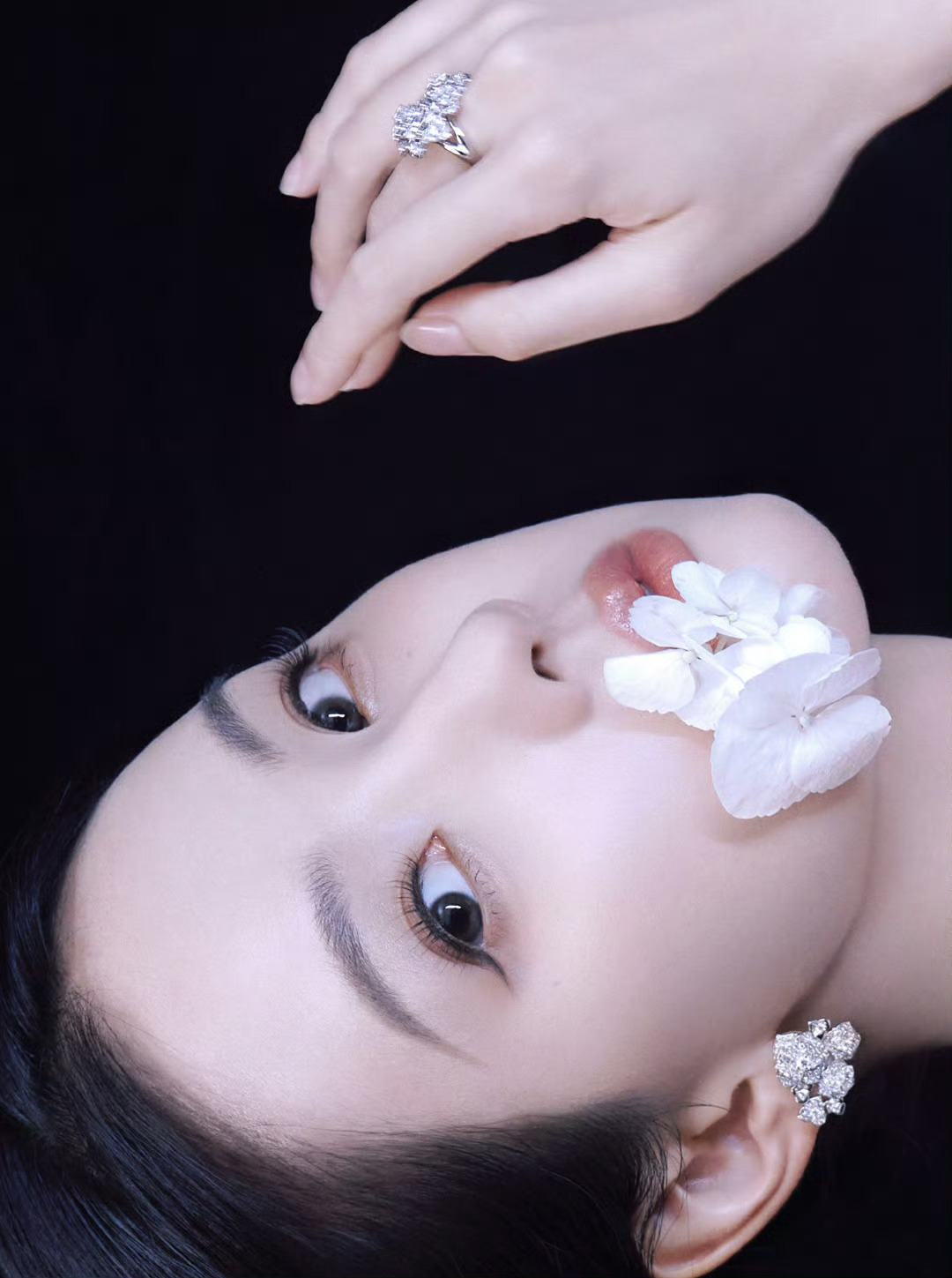 陈都灵
