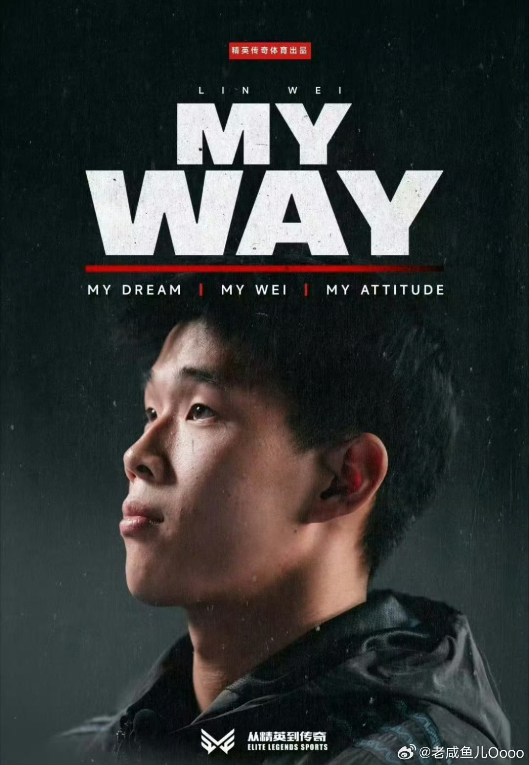 CBA联赛著名球员林葳拍了纪录片了。纪录片名为 《My Way》，由经纪公司“精英传奇体育”制作。主题聚焦林葳赴美追梦的历程，记录他离开CBA后，在海外“从零开始证明自己”的挑战。宣传标语强调：“他选