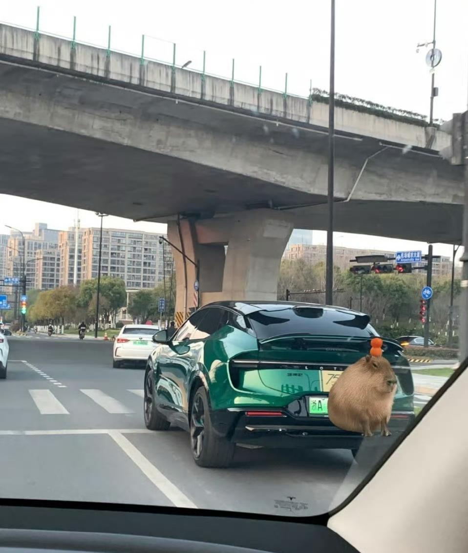 这车看着好牛，是啥牌子啊 ？