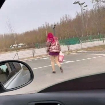 以后再也不敢乱按喇叭了