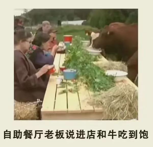 没夸大宣传啊，是和牛吃到饱