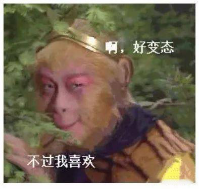 各位，我打个广告，我是做黑神话汉化补丁的，大家可以在我这里提前买正版汉化补丁，只