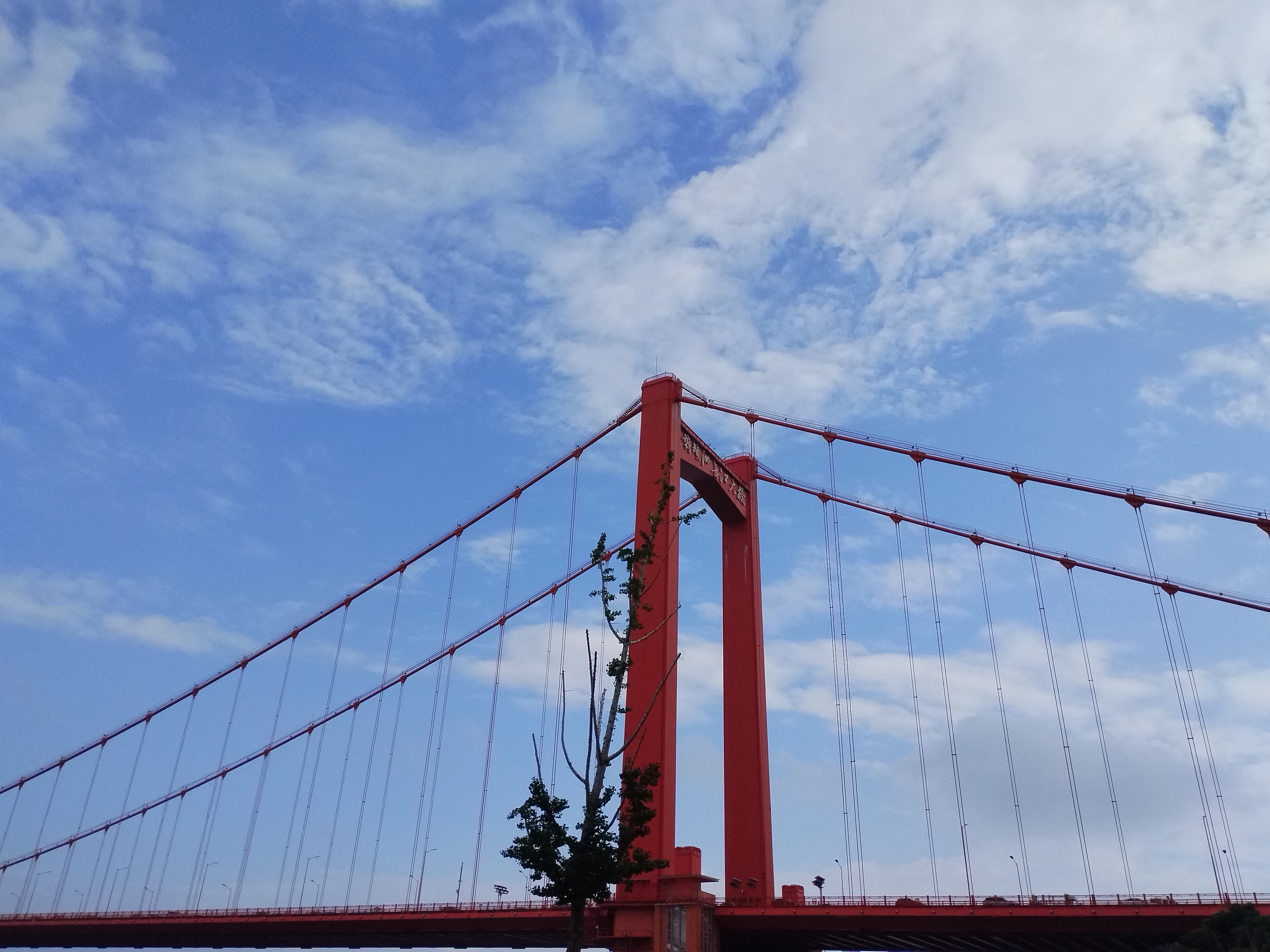 武汉鹦鹉洲长江大桥