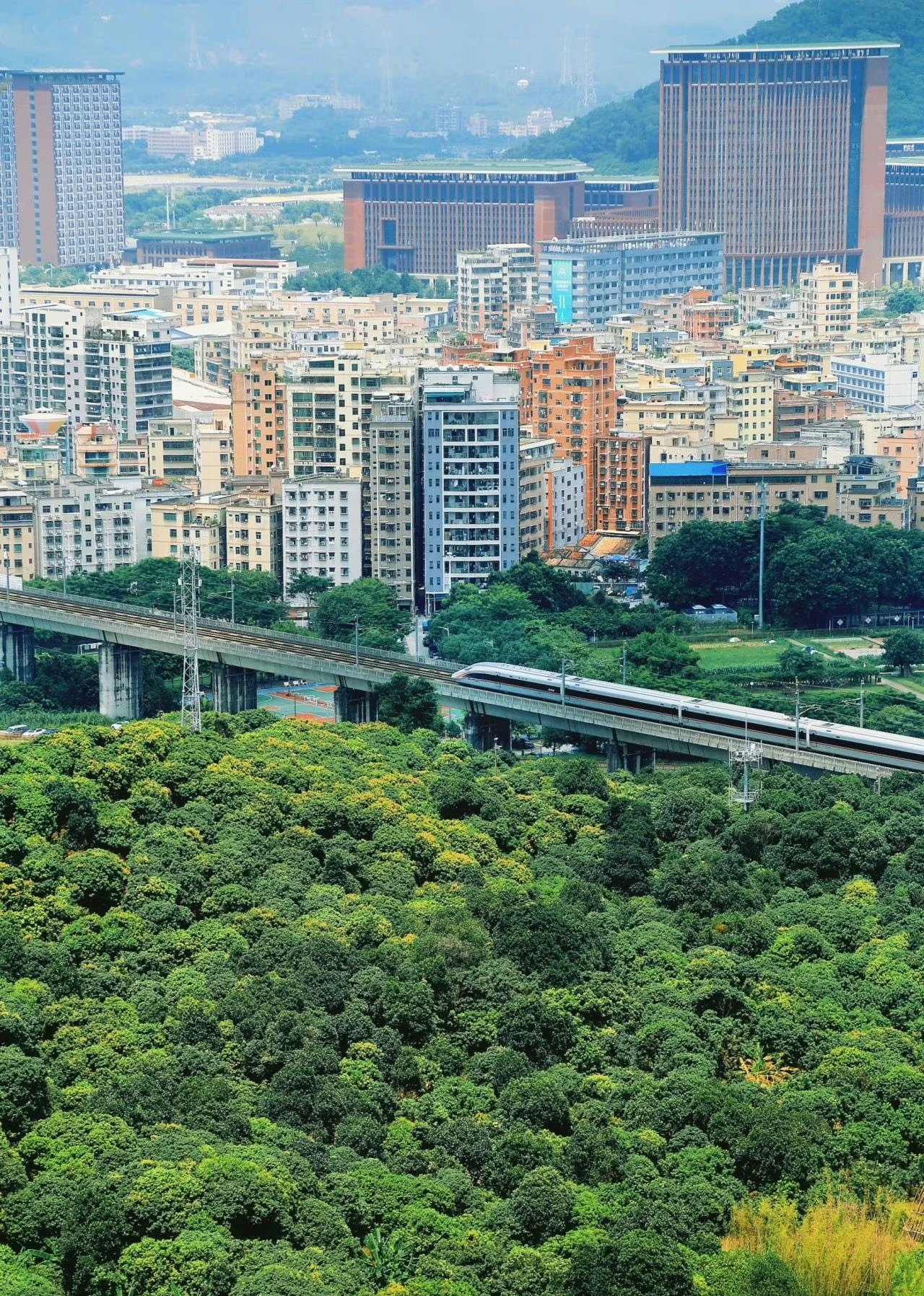 都说国庆节楼市能回暖，我还挺期待的，结果昨天去济南东边某楼盘看了看，有点失望，售楼中心工作人员都没几个，冷冷清清的，跟传说中的回暖完全不符。

现在假期结束了，估计就更冷清了，那些所谓的回暖，说什么人