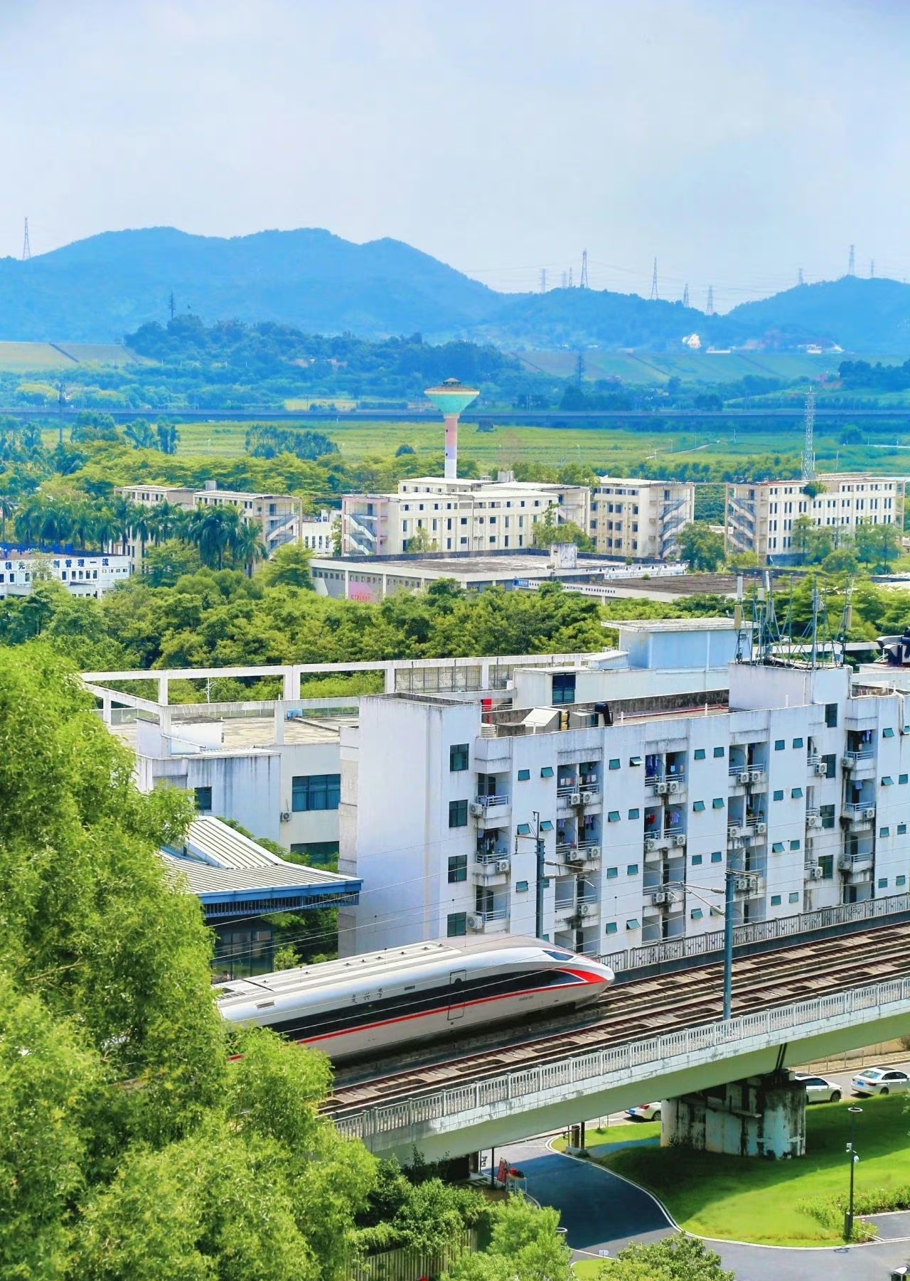 国办说要加强住房支持政策，特别是要多帮帮那些有多娃的家庭买房，现在多娃家庭住房压力大，这个政策很贴心。

对家庭来说，大房子能让孩子们健康成长，生活也更好，有了政策支持，多娃家庭买房能少花点钱，改善居