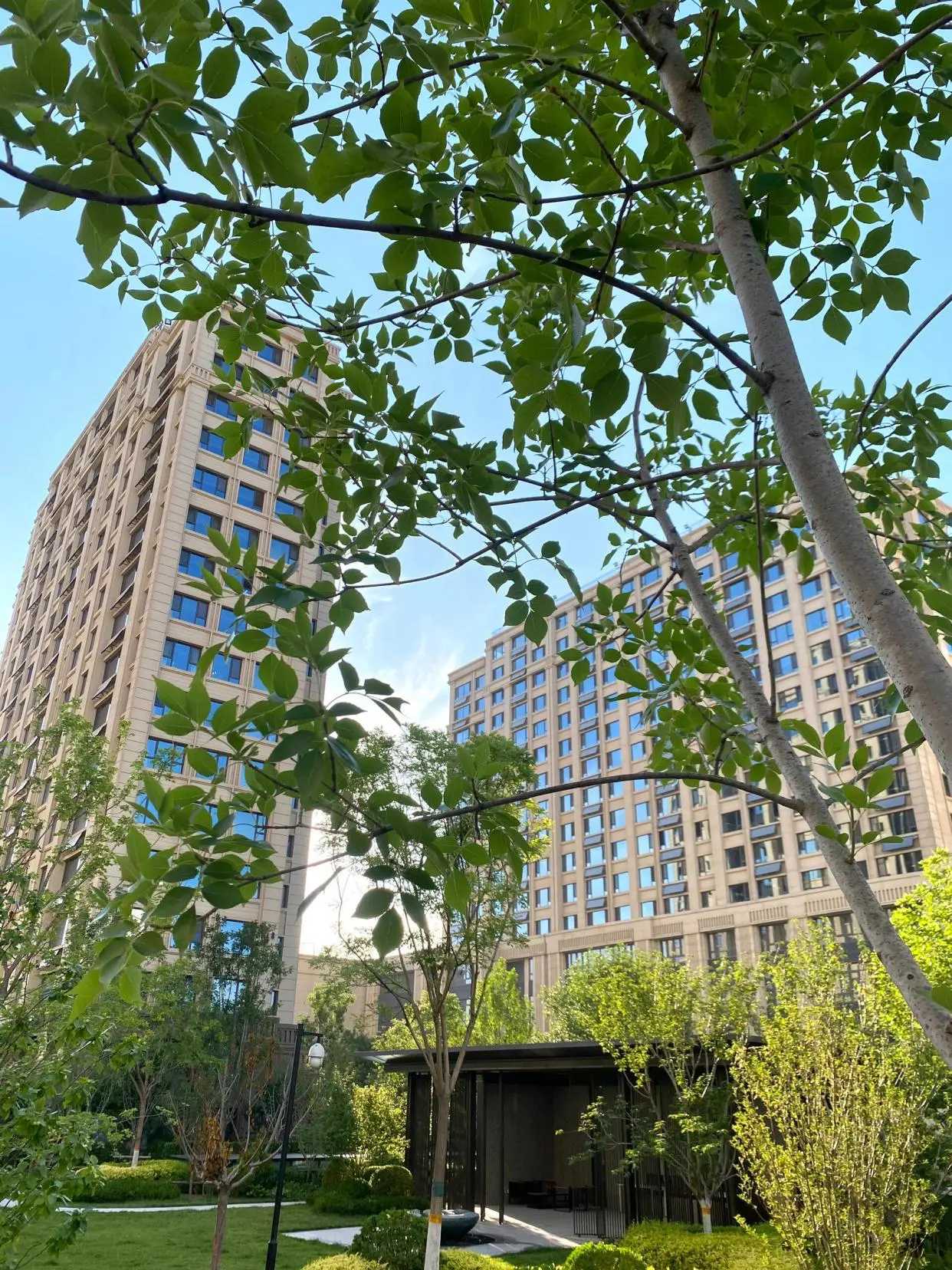 当年的温州炒房团，你们还记得吗？

我家附近就有一个温州炒房团小区，房龄大概是07年左右。当年开盘的时候，那些温州的土老板们财大气粗，一出手就是买下几层楼，那阵仗，在当时引起了不小的轰动。
 
只不过