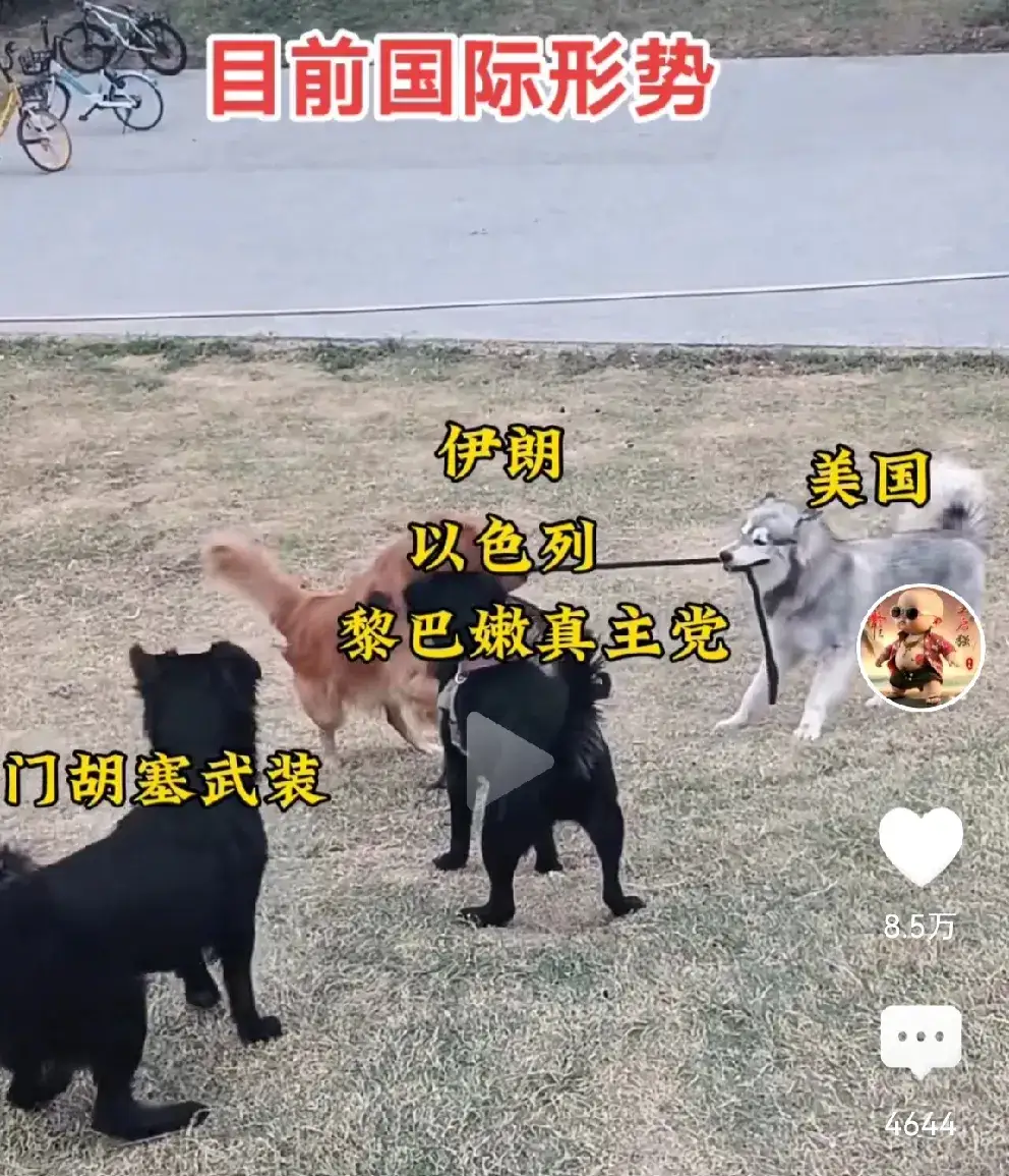 目前的中东局势，还真的有点像！<!--{img:0}-->