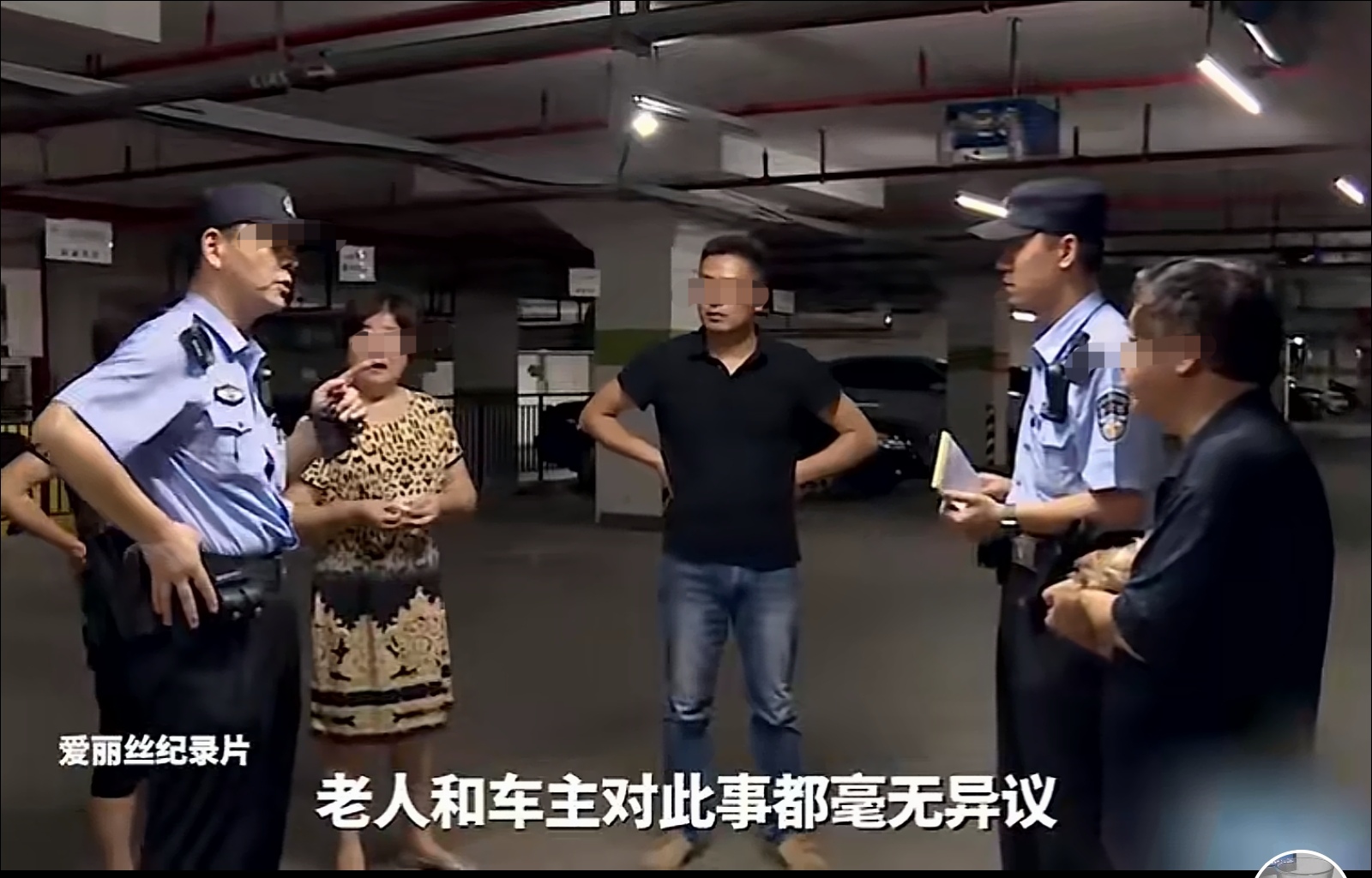 遛狗不栓绳，狗子被车撞死，应该狗主人承担责任，司机无责！