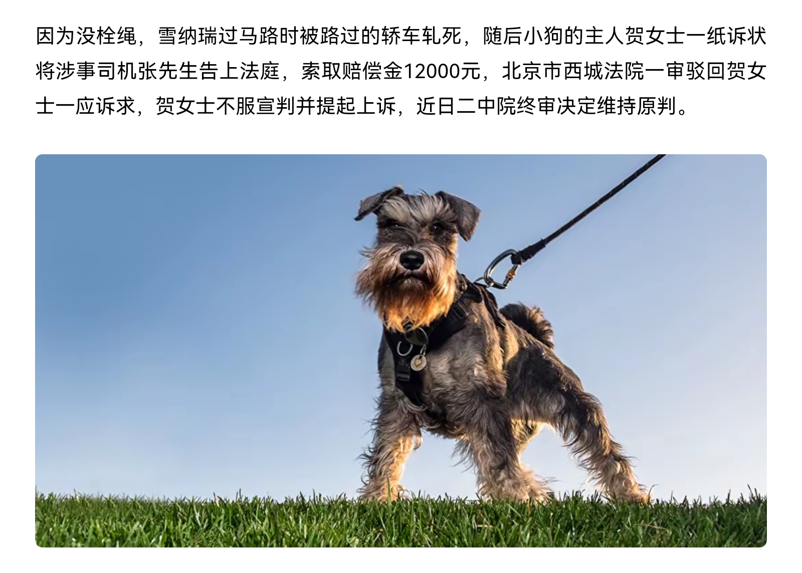 遛狗不拴绳，压死白压，这是真的，已经很多司法案例了。