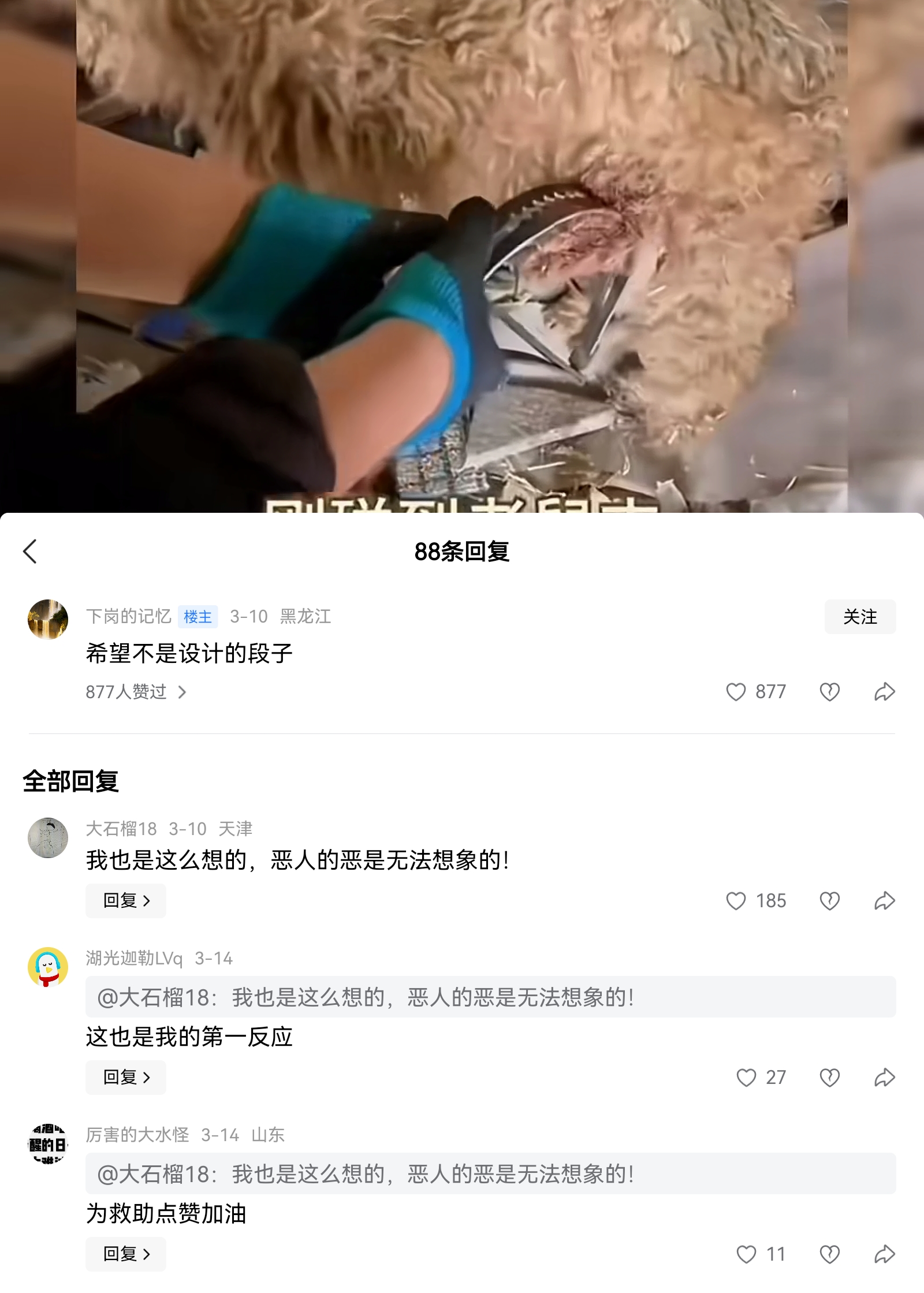 一只狗妈妈踩到了老鼠夹子，狗爸爸找人解决，网民评价希望不是段子，这个视频确实有很大疑点的。希望网民的担忧是多余的，希望这个世界是美好的。